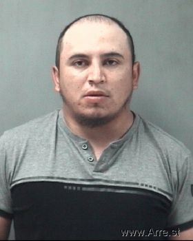 Christian Andrade Martinez Mugshot