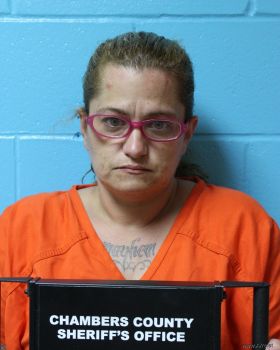 Christina Ann Abbott Mugshot