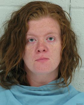 Christina Renee Webb Mugshot