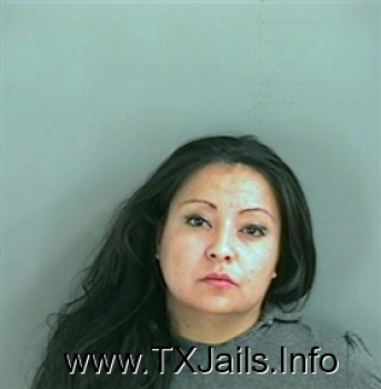 Christine  Ramirez Mugshot