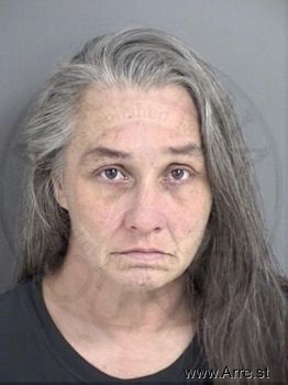 Christine Lynn Shaw Mugshot