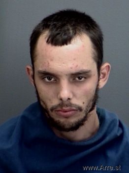 Colton Dale Long Mugshot