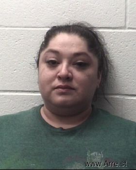 Cristina Ann Perez Mugshot