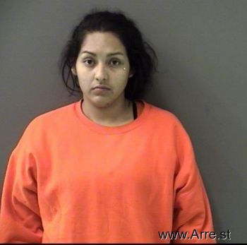 Crystal  Sanchez Mugshot