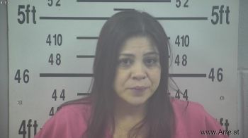 Diana Elizabeth Garcia Mugshot