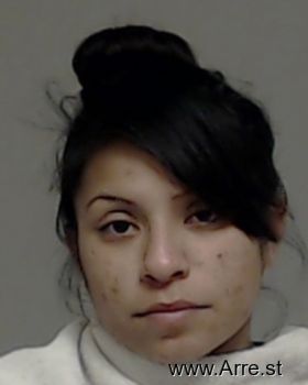 Daniella Eliz Sanchez Rangel Mugshot