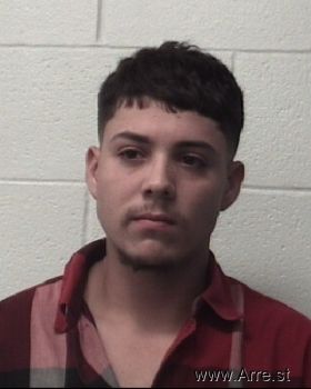 David  Delgado Gonzalez Mugshot