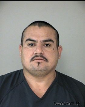 David  Salinas-gutierrez Mugshot