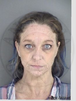 Deana Sunshine Turner Mugshot