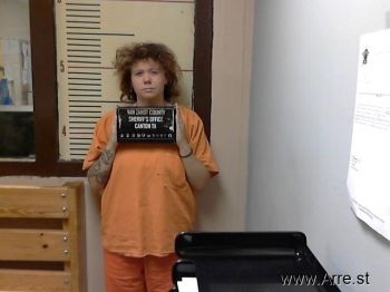 Deanna  Greer Mugshot