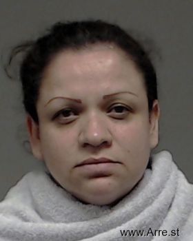 Diana Isabel Falcon Mugshot