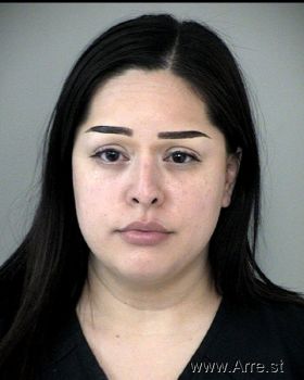 Diana Marie Martinez Mugshot