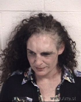 Donna Marie Robinson Mugshot