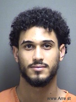 Drake Anthony Cannon Mugshot