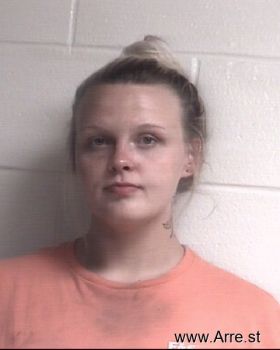 Drew Erin Madison Davis Mugshot