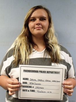 Drew Erin Madison Davis Mugshot