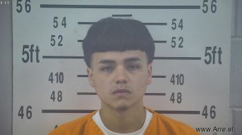 Eli Boye Delagarza Mugshot