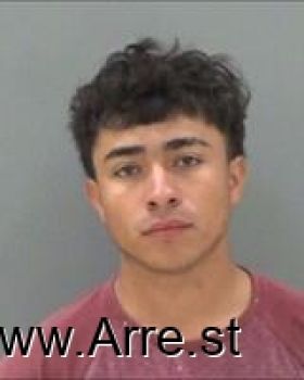 Elmer  Sauceda Soto Mugshot