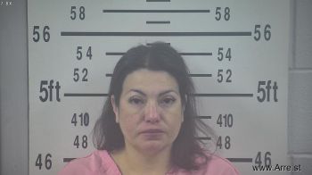 Erica Marie Castillo Mugshot