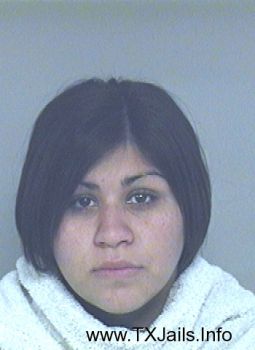 Erica Nicole Perez-salinas Mugshot