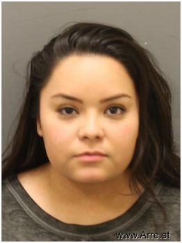 Ericka  Martinez Mugshot