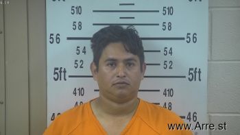 Eriks Jose Garcia-mairena Mugshot