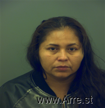 Elisa  Guerrero Mugshot