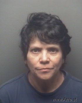 Elva Gallegos Davis Mugshot