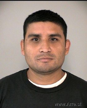 Elvis  Hernandez-ayala Mugshot