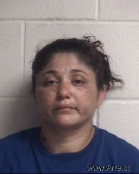 Erica Nicole Garcia Mugshot