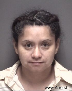 Erica . Rivera Mugshot