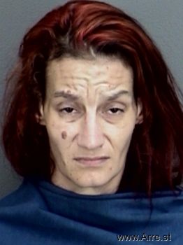 Erica Renee Robertson Mugshot