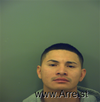 Erick  Silva Mugshot