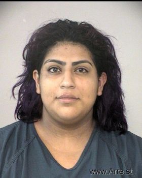 Erika  Ramirez Mugshot