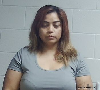 Erika  Vera Mugshot