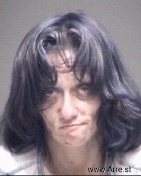 Erin Marie Williams Mugshot