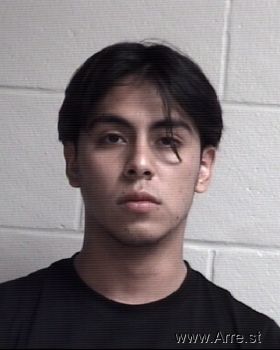 Everardo De Jesus Flores Mugshot