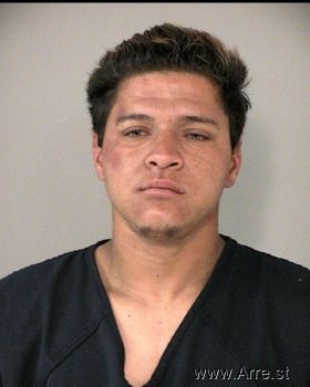 Fernando Castillas Flores Mugshot