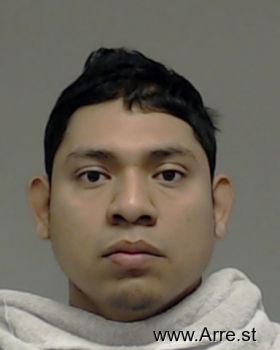 Francisco  Castillo-morelos Mugshot