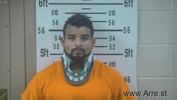 Guillermo  Castillo Jr Mugshot