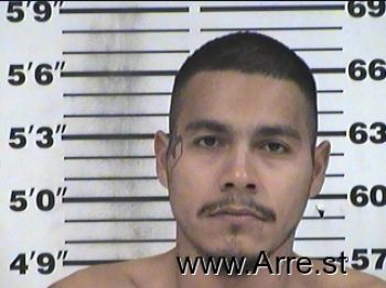 Gabriel  Torres Mugshot