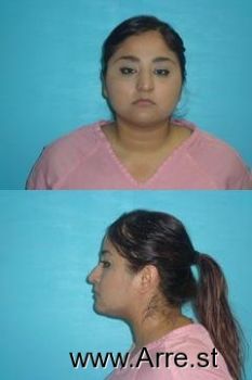 Gabriela  Garcia Del Castillo Mugshot