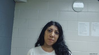 Gabriela  Hernandez Mugshot