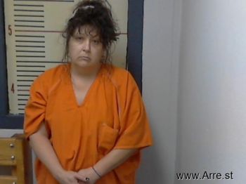 Heidi Marie Allison Mugshot