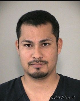 Ivan  Martinez-romero Mugshot