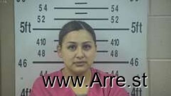 Jaimee  Torres Mugshot