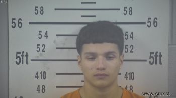 Jayden Ray Salinas Mugshot