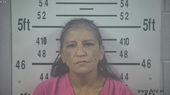 Jennifer Martinez Perez Mugshot