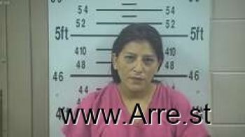 Jennifer  Perez Mugshot