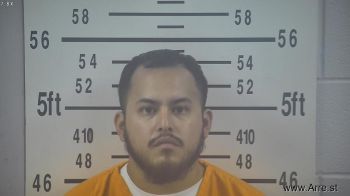 Jose Luis Aleman Mugshot